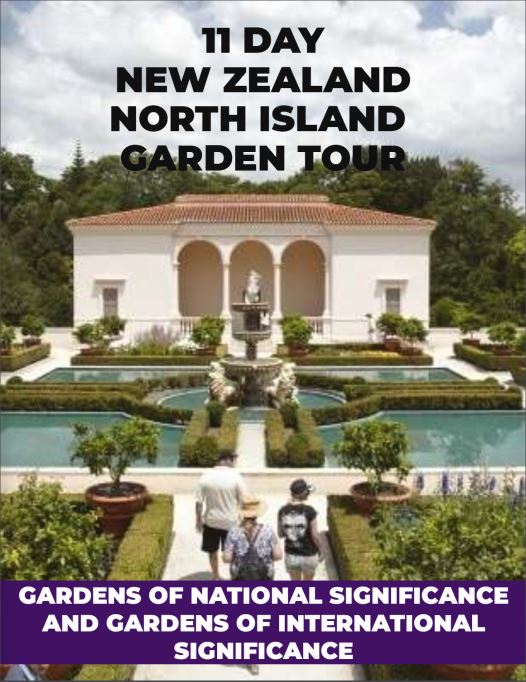 nz tour