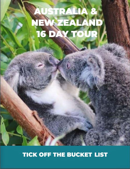 iconic nz
