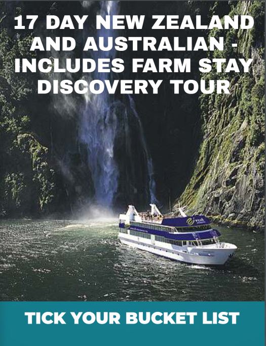 nz tour